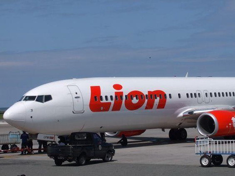 Власти Индонезии подтвердили наличие технических неисправностей у разбившегося Boeing 737