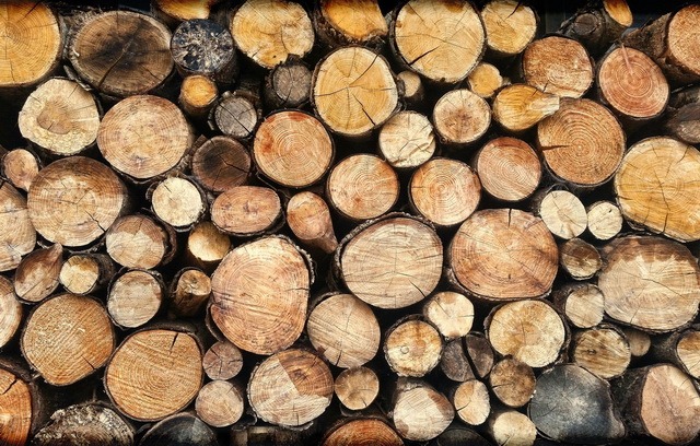 В Финляндии открыли автомат по продаже дров